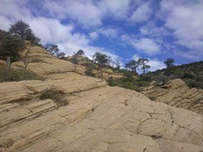 Looking up the trail